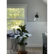 Drum Schoolhouse Sconce, 100-Black, Opaque Glass, Four Painted Bands in Black | Photo Courtesy of Stacey Rosetti (@stacey.athome)