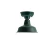10" Avalon LED, 300-Dark Green
