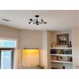 Ellis Adjustable Arm Chandelier, 615-Oil-Rubbed Bronze, Shown with Globe LED Tala Lamp | Photo Courtesy of Homeowner