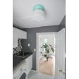 Kao Schoolhouse, Opaque Drum Shade, 370-Mint | Photo Courtesy of Elliott May