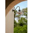 12" Brisbane LED, 600-Bronze, CLR-Clear Glass, G26 Gooseneck Arm, Decorative Backing Plate Cover