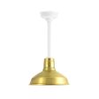 12" Dino LED, 997-Natural Raw Brass, Mounting in 200-White