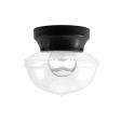 Kao Acorn Schoolhouse Flush Mount, 100-Black, Clear Glass