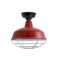16" Avalon LED, 400-Barn Red, Wire Cage, 975-Galvanized, Mounting in 100-Black