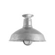 14" Dino Nautical LED, 975-Galvanized, TGG-Heavy Duty Cast Guard, FST-Frosted Glass