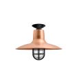 16" Dominion, 995-Natural Raw Copper, TGG-Heavy Duty Cast Guard, 100-Black, RIB-Ribbed Glass, Mounting in 100-Black