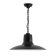 16" Dominion LED, 100-Black, SBK-Standard Black Cord