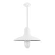 14" Dominion Nautical LED, 200-White, WGG-Wire Guard, FST-Frosted Glass