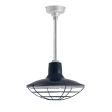 14" Dominion LED, 705-Navy, Wire Cage, Mounting in 975-Galvanized