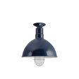 12" Wilcox Nautical LED, 705-Navy, WGG-Wire Guard, 975-Galvanized, FST-Frosted Glass