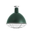 16" Wilcox, 300-Dark Green, Wire Cage, 975-Galvanized, Mounting in 975-Galvanized