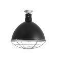 16" Wilcox Vented, 100-Black, Circle Vents, Wire Cage, 975-Galvanized, Mounting in 975-Galvanized