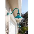 16" Outback LED, 390-Teal, G22 Arm, CGG-Standard Guard, 100-Black FST-Frosted Glass | Photo Courtesy of Homeowner