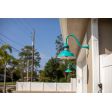 16" Outback LED, 390-Teal, G22 Arm, CGG-Standard Guard, 100-Black FST-Frosted Glass | Photo Courtesy of Homeowner