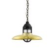 12" Brisbane LED, 997-Natural Raw Brass, Guard in 100-Black, CLR-Clear Glass, Mounting in 100-Black, CSGW-Gold & White Cloth Cord