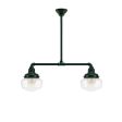 Primary Schoolhouse 2-Light Chandelier, 300-Dark Green, Small Clear Glass, Beehive Canopy