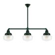 Primary Schoolhouse 3-Light Chandelier, 300-Dark Green, Small Clear Glass, Beehive Canopy