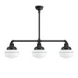 Primary Schoolhouse 3-Light Chandelier, 100-Black, Small Opaque Glass, Triple Painted Band, 715-Delphite, Hang Straight Canopy