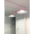 14" Seaside, 480-Blush Pink, G26 Arm | Photo Courtesy of Homeowner