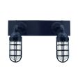 Industrial Guard Double Vanity Light, 705-Navy, CGG-Standard Cast Guard, CLR-Clear Glass