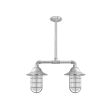 Merger LED 2-Light Chandelier, 975-Galvanized, Flared Shade, CGG-Standard Cast Guard, FST-Frosted Glass