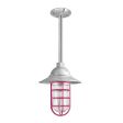 Industrial Guard LED Sconce, 975-Galvanized, Flared Shade, CGG-Standard Cast Guard, 490-Magenta, RIB-Ribbed Glass