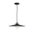 12" Conoco, 100-Black, TBK-Black Cotton Twist Cord, Nostalgic Edison-Style Victorian 40 Watt Light Bulb