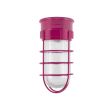 Flush Mount Guard Sconce, 490-Magenta, WGG-Wire Guard, RIB-Ribbed Glass