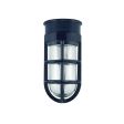 Flush Mount LED Guard Sconce, 705-Navy, TGG-Heavy Duty Cast Guard, RIB-Ribbed Glass