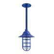 Industrial Guard Stem Mount Pendant Light, 700-Royal Blue, Flared Shade, CGG-Standard Cast Guard, CLR-Clear Glass