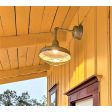 16" Union LED Gooseneck, 975-Galvanized, G34arm, Wire Cage, Decorative Backing Plate, Domed Lens | Photo Courtesy of Homeowner