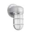 Streamline Industrial Guard Sconce, 975-Galvanized, Topless Shade, TGG-Heavy Duty Cast Guard, FST-Frosted Glass