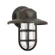 Streamline LED Industrial Guard Sconce, 600-Bronze, Warehouse Shade, TGG-Heavy Duty Cast Guard, RIB-Ribbed Glass