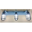 Industrial Guard Triple Vanity Light, 715-Delphite Blue, No Shade, Standard Cast Guard, Clear Glass | Customer Submission