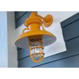 12" Laramie Nautical LED Gooseneck, 570-Sunflower, G3 Arm, Standard Cast Guard, Clear Glass | Customer Submission