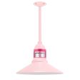 16" Wallaby, 480-Blush Pink, Guard in 490-Magenta, CLR-Clear Glass, Mounting in 480-Blush Pink