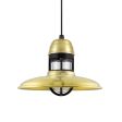 12" Brisbane, 997-Natural Raw Brass, With Cap Option, Guard in 100-Black, CLR-Clear Glass, Standard Black Cord