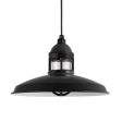 14" Brisbane LED, 100-Black, CLR-Clear Glass, Standard Black Cord