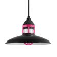 14" Brisbane LED, 100-Black, Guard in 490-Magenta, CLR-Clear Glass, Standard Black Cord