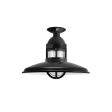 12" Brisbane LED, 100-Black, CLR-Clear Glass