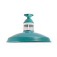 16" Brisbane, 390-Teal, Guard in 480-Blush Pink, RIB-Ribbed Glass