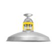16" Brisbane LED, 975-Galvanized, Guard in 500-Buttery Yellow, RIB-Ribbed Glass