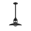 12" Brisbane LED, 100-Black, CLR-Clear Glass