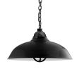 20" Chicago, 100-Black, TGG-Heavy Duty Cast Guard, FST-Frosted Glass, SBK-Standard Black Cord