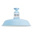 18" Sydney, 715-Delphite, Guard in 200-White, RIB-Ribbed Glass