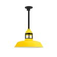14" Sydney LED, 500-Buttery Yellow, Guard in 100-Black, RIB-Ribbed Glass, Mounting in 100-Black, Heavy Duty Canopy