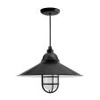 18" Syracuse LED, 100-Black, CGG-Standard Cast Guard, FST-Frosted Glass, CSB-Black Cloth Cord
