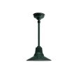 12" Aero, 300-Dark Green, 12" Stem, Hang Straight Canopy