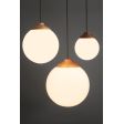 Glass Ball LED Wooden Top Pendant Lights