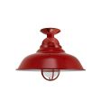 16" Chicago, 400-Barn Red, CGG-Standard Cast Guard, FST-Frosted Glass